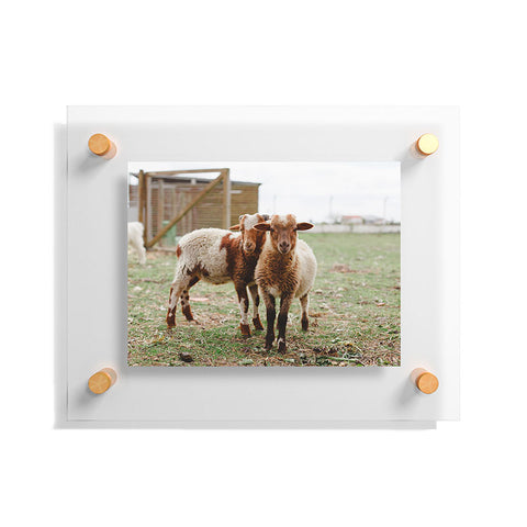 Hello Twiggs Counting Sheep Floating Acrylic Print