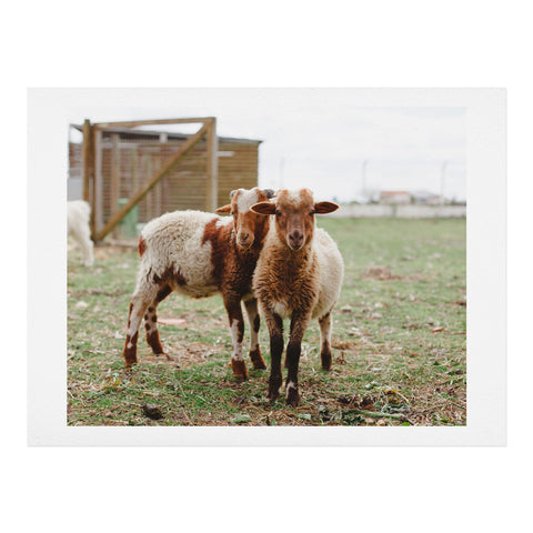 Hello Twiggs Counting Sheep Art Print