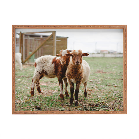 Hello Twiggs Counting Sheep Rectangular Tray