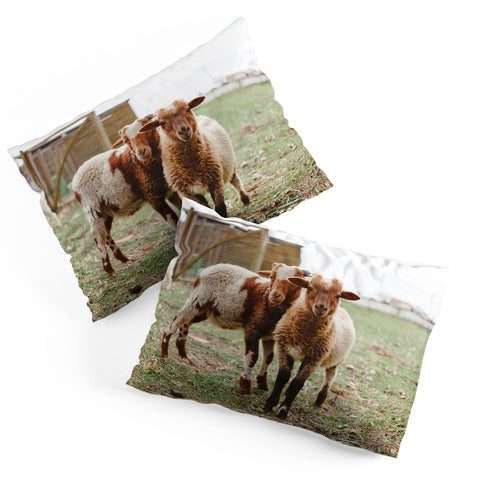 Hello Twiggs Counting Sheep Pillow Shams