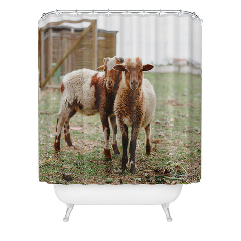 Hello Twiggs Counting Sheep Shower Curtain