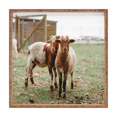 Hello Twiggs Counting Sheep Square Tray