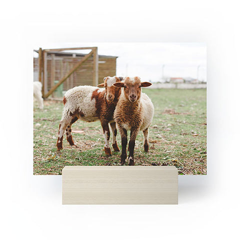 Hello Twiggs Counting Sheep Mini Art Print