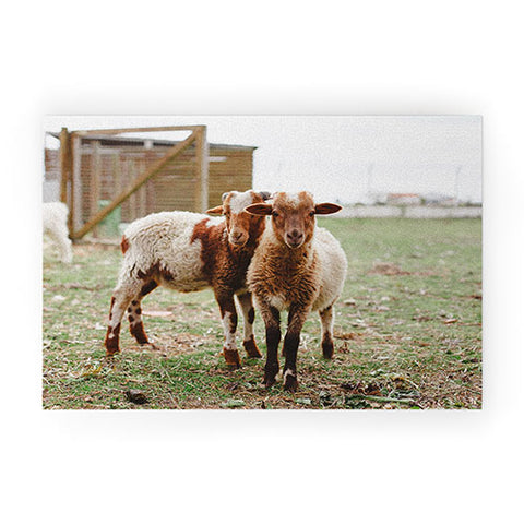 Hello Twiggs Counting Sheep Welcome Mat