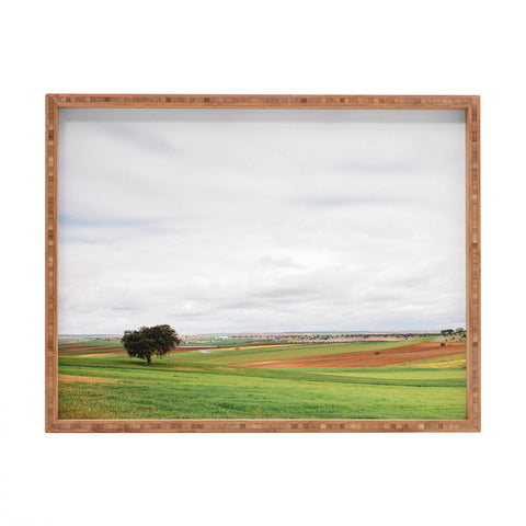 Hello Twiggs Country Field Rectangular Tray
