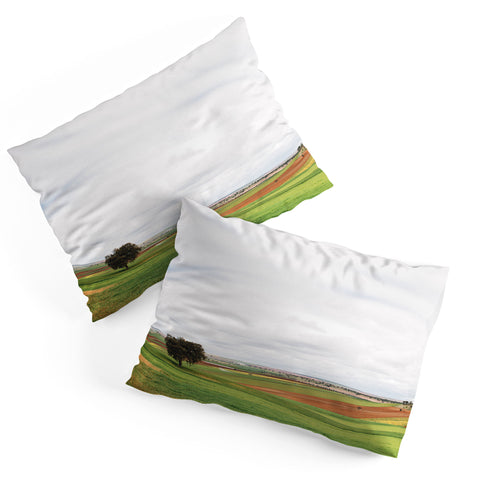 Hello Twiggs Country Field Pillow Shams