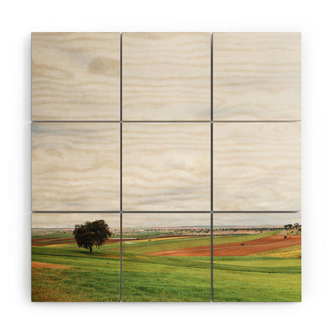 Hello Twiggs Country Field Wood Wall Mural