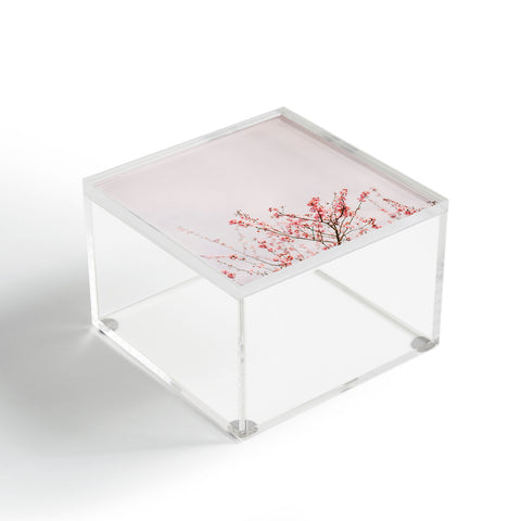 Hello Twiggs Dreamy Spring Acrylic Box