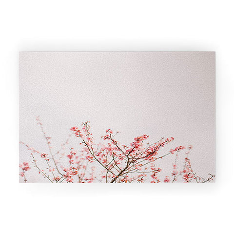 Hello Twiggs Dreamy Spring Welcome Mat