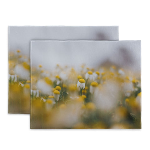 Hello Twiggs Foggy Daisies Placemat