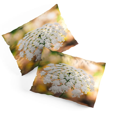 Hello Twiggs Lace Pillow Shams