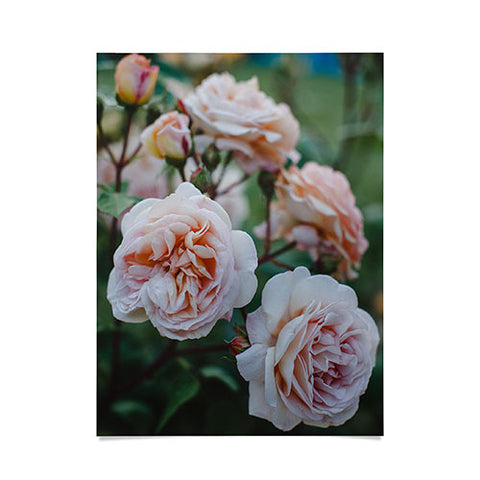 Hello Twiggs Moody Roses II Poster