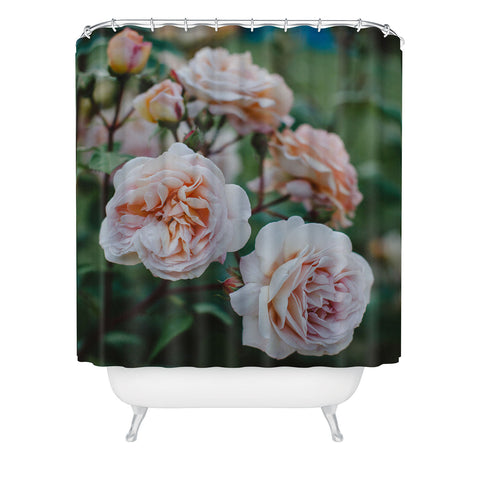 Hello Twiggs Moody Roses II Shower Curtain