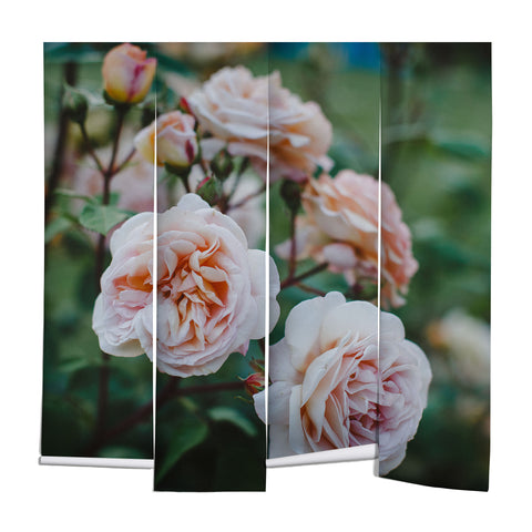 Hello Twiggs Moody Roses II Wall Mural