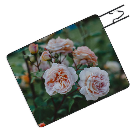 Hello Twiggs Moody Roses II Picnic Blanket