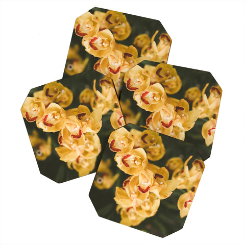 Hello Twiggs Mustard Yellow Orchids Coaster Set