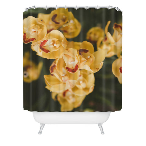 Hello Twiggs Mustard Yellow Orchids Shower Curtain