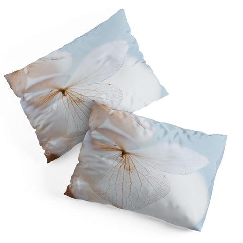 Hello Twiggs Pastel Dry Hydrangea Pillow Shams