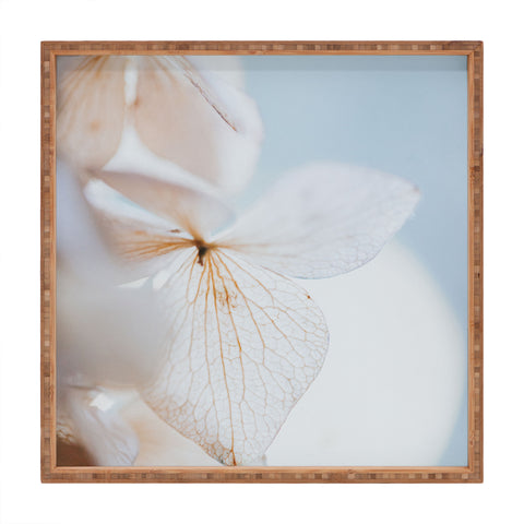 Hello Twiggs Pastel Dry Hydrangea Square Tray