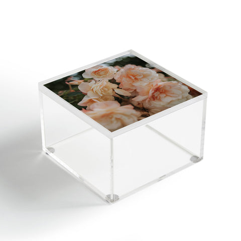 Hello Twiggs Peach Soft Flowers Acrylic Box