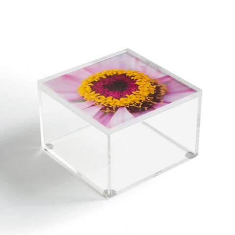 Hello Twiggs Pink Blossom Heart Acrylic Box