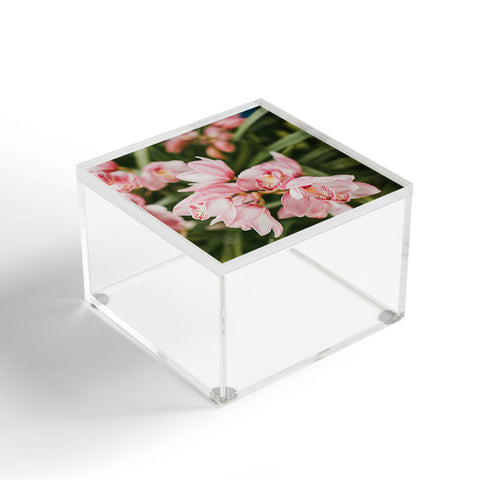 Hello Twiggs Pink Orchids Acrylic Box