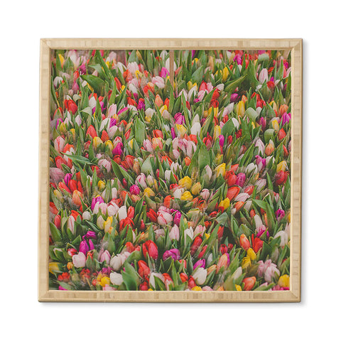 Hello Twiggs Rainbow Tulips Framed Wall Art