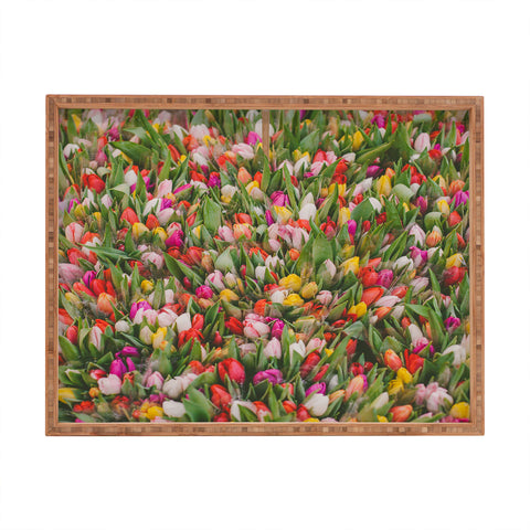 Hello Twiggs Rainbow Tulips Rectangular Tray