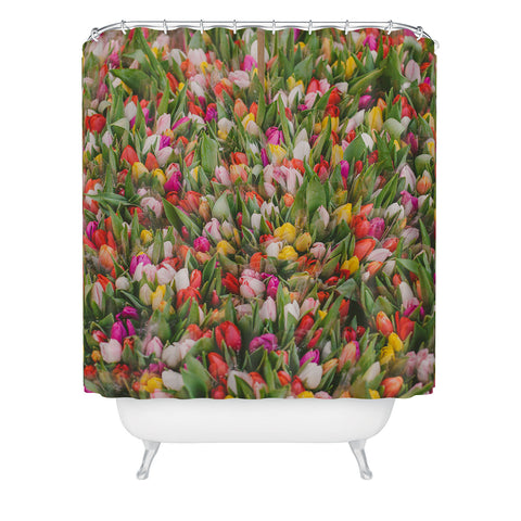 Hello Twiggs Rainbow Tulips Shower Curtain