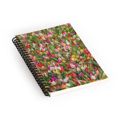 Hello Twiggs Rainbow Tulips Spiral Notebook