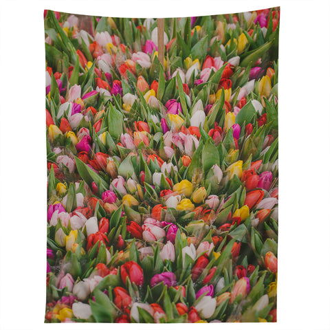 Hello Twiggs Rainbow Tulips Tapestry
