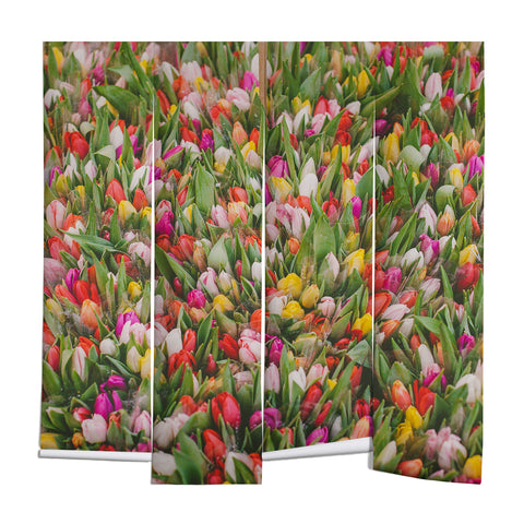 Hello Twiggs Rainbow Tulips Wall Mural