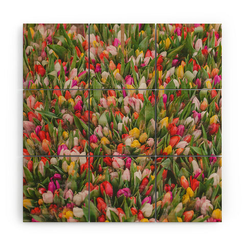 Hello Twiggs Rainbow Tulips Wood Wall Mural