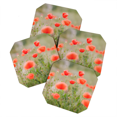 Hello Twiggs Red Poppy Coaster Set