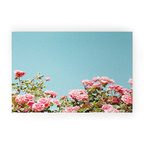 Hello Twiggs Roses are Pink Welcome Mat