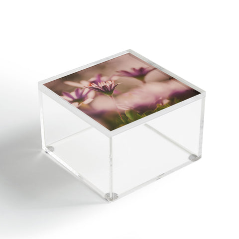 Hello Twiggs Soft Daisies Acrylic Box