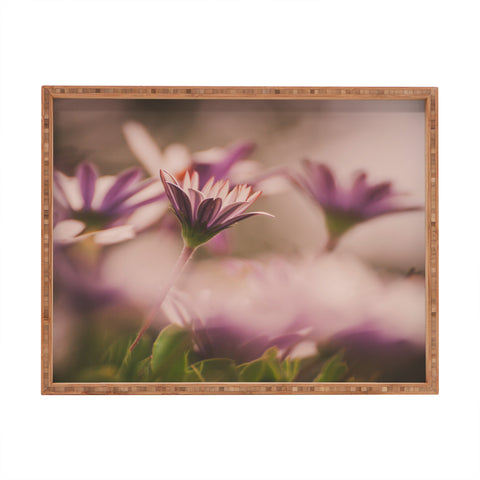 Hello Twiggs Soft Daisies Rectangular Tray