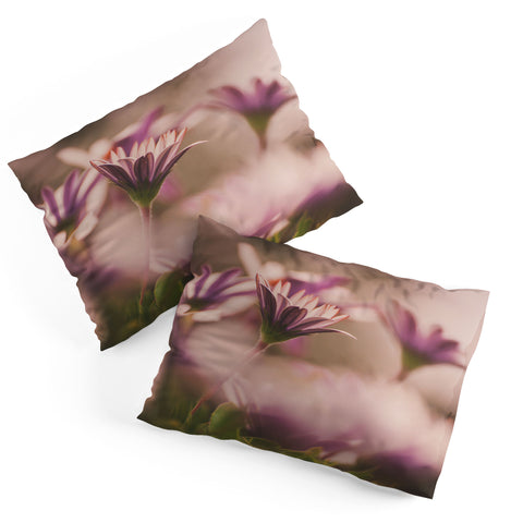 Hello Twiggs Soft Daisies Pillow Shams