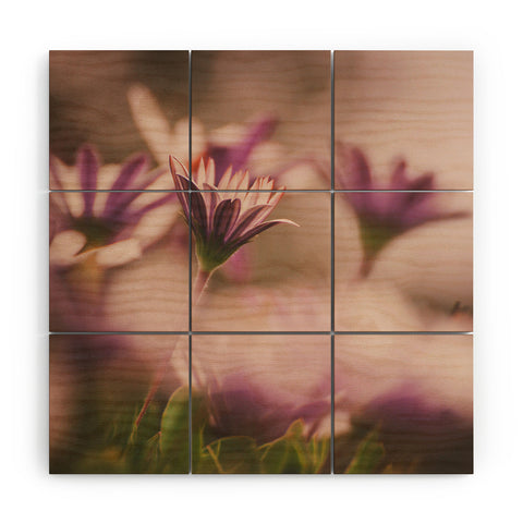 Hello Twiggs Soft Daisies Wood Wall Mural