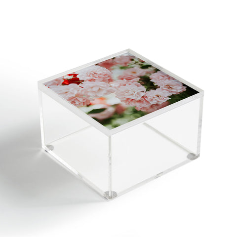 Hello Twiggs Soft Pink Roses Acrylic Box