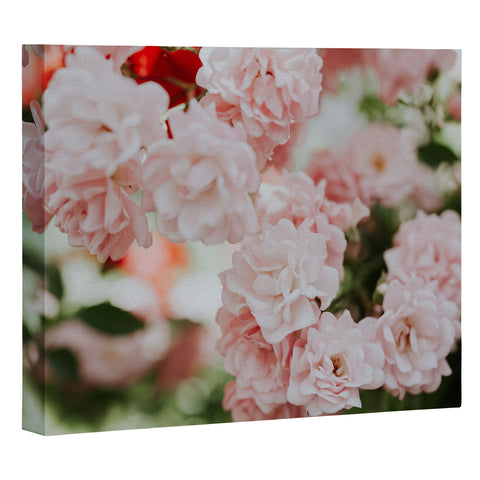 Hello Twiggs Soft Pink Roses Art Canvas