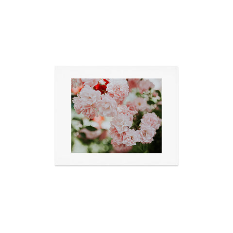 Hello Twiggs Soft Pink Roses Art Print