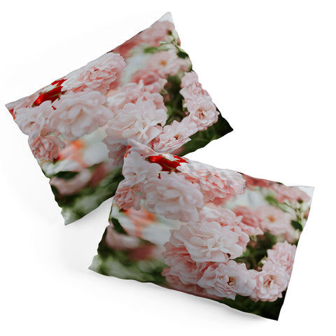 Hello Twiggs Soft Pink Roses Pillow Shams