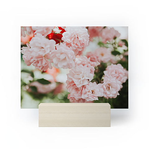Hello Twiggs Soft Pink Roses Mini Art Print