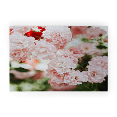 Hello Twiggs Soft Pink Roses Welcome Mat