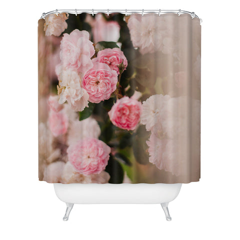 Hello Twiggs Soft Roses Shower Curtain