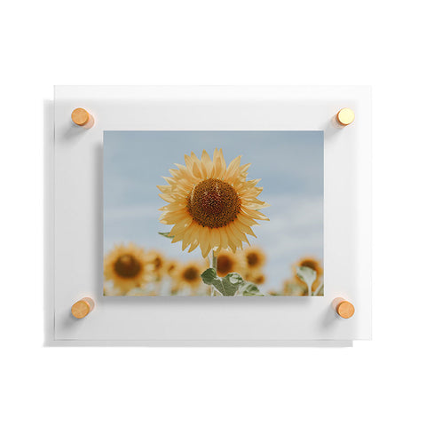 Hello Twiggs Sunflower in Seville Floating Acrylic Print