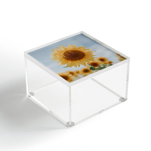 Hello Twiggs Sunflower in Seville Acrylic Box