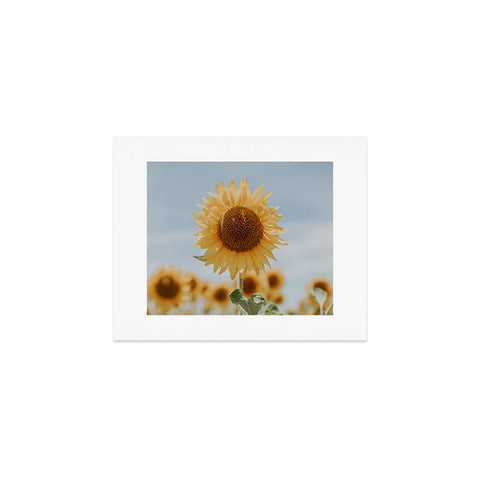 Hello Twiggs Sunflower in Seville Art Print