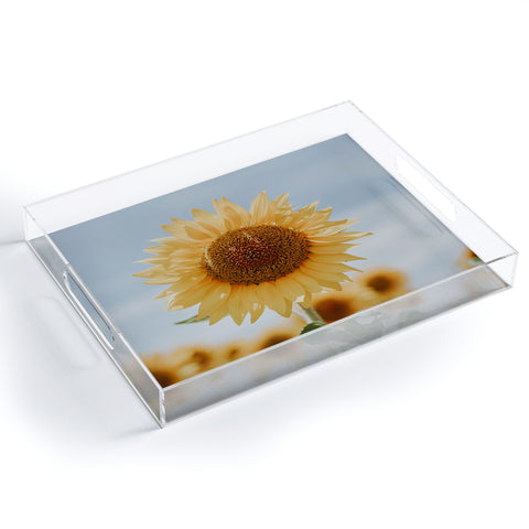 Hello Twiggs Sunflower in Seville Acrylic Tray